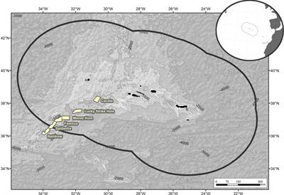 Modelling the Dispersion of Seafloor Massive Sulphide Mining Plumes in the Mid Atlantic Ridge Around the Azores